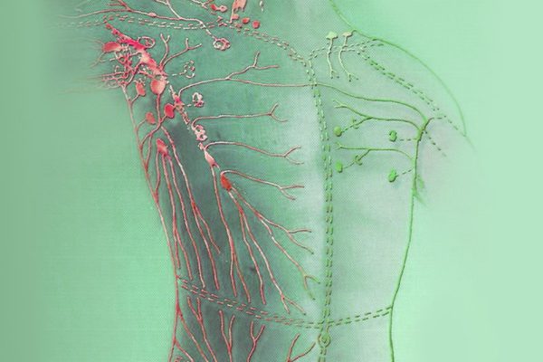 Пробуди своего внутреннего лекаря: простая техника самоисцеления