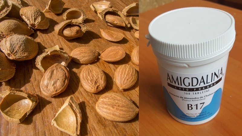 семена арбуза полезные свойства