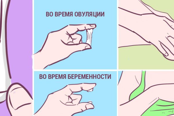 Первые признаки беременности, о которых известно далеко не всем!