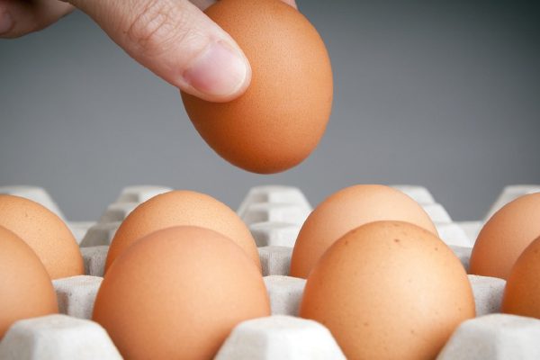Person choosing the best egg from a carton of eggs