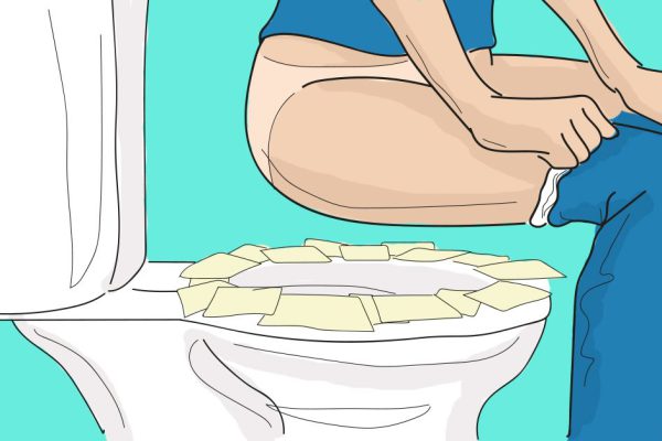 Теперь ты никогда не застелешь сиденье унитаза туалетной бумагой!