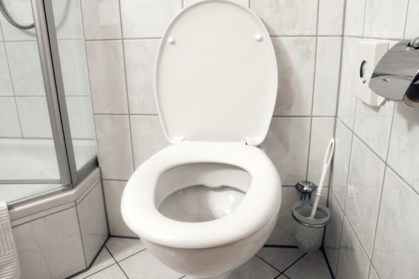 clean toilet room interior with open seat cover