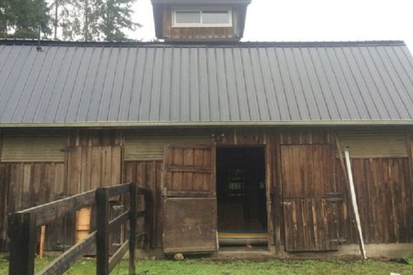 Отважный дедушка отказался демонтировать сарай. Посмотри, во что он его превратил!