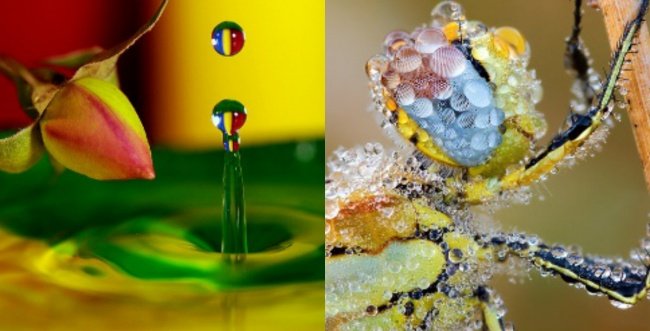 необычные фотографии