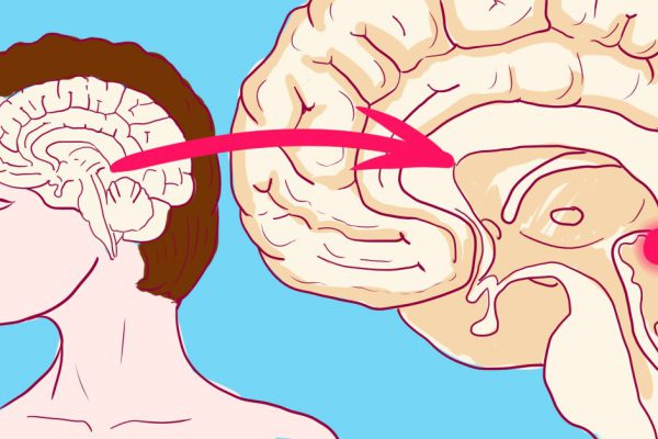 Гормон, который сохраняет молодость: натуральная таблетка от старости!