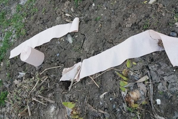 Без туалетной бумаги не берусь сажать семена, показываю, как сделать семенную ленту