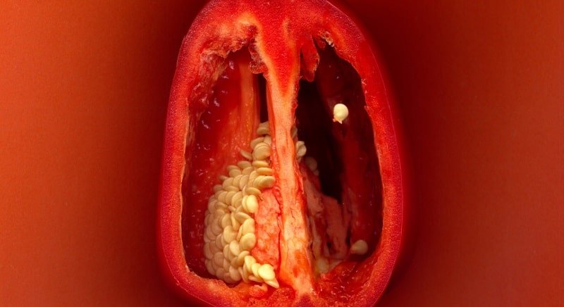 Что можно сделать с семенами сладкого перца на зиму