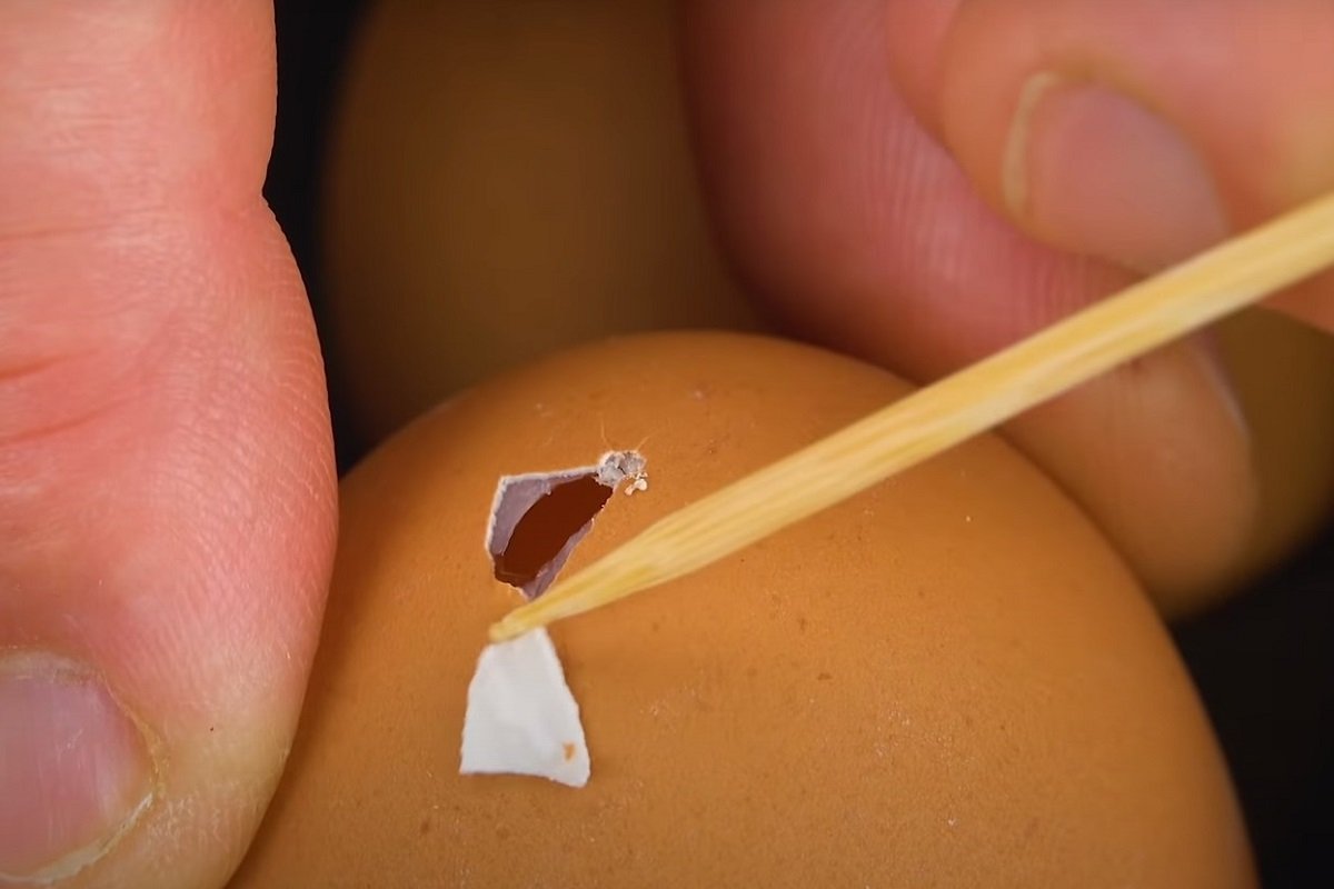 шашлычки из перепелиных яиц