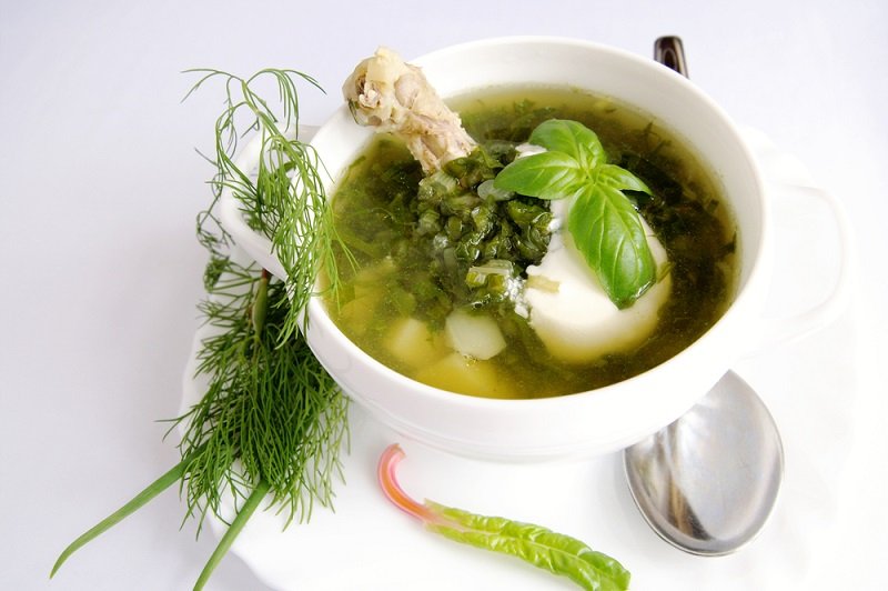 Как приготовить суп из щавеля Кулинария,Советы,Питание,Продукты,Супы,Щавель