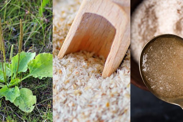 Чем полезна шелуха семян подорожника