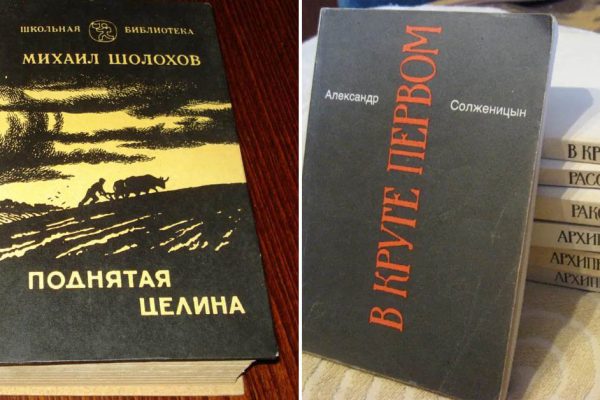 Обеднела школьная программа по литературе, чему учат наших детей