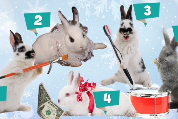 Выбери кролика и узнай, что ждет тебя в 2023 году