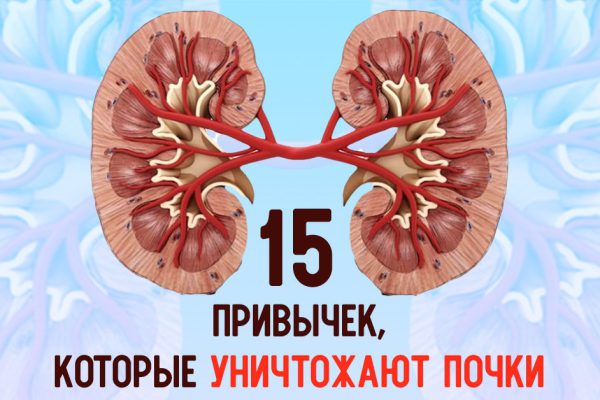 Лечащий врач: «Остановись, ты разрушаешь свои почки! Чтобы забыть о боли, перестань…»