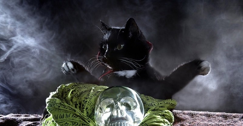 Как смириться с постоянными неудачами