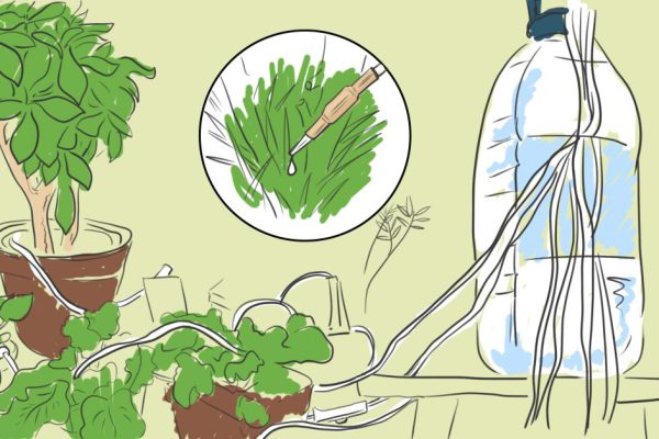 Растения будут поливать себя сами! Автоматическая система, продуманная до мелочей.