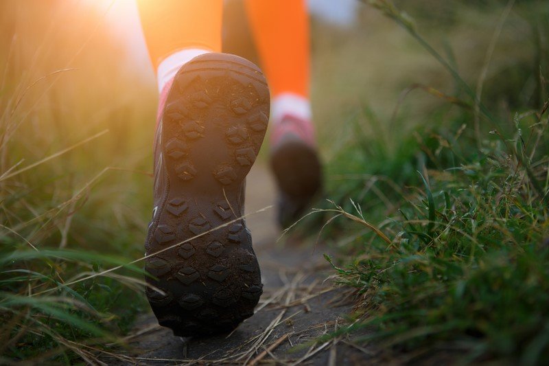 амосов книги