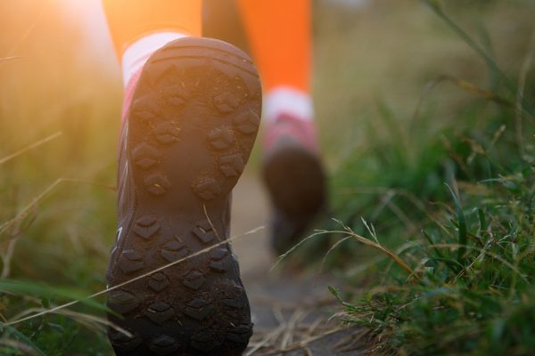 Photo of athlete walking along path in forest in morning