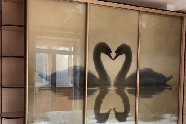 Шкаф-купе с рисунками на зеркалах или фотопечатью был в тренде во времена евроремонтов, но сейчас его место точно не в квартире