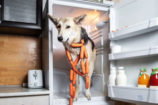 Правила хранения мяса в холодильнике