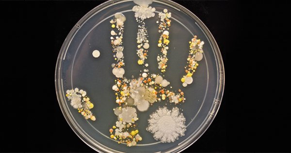 Этот отпечаток руки взорвал Интернет. Теперь я буду мыть руки как можно чаще…