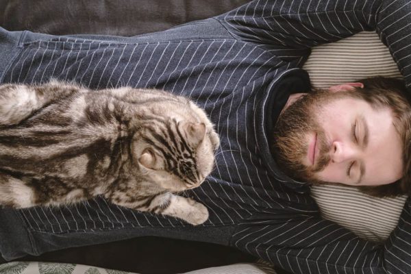 Зачем коты спят на хозяйской спине