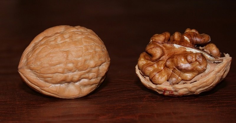 грецкие орехи фото