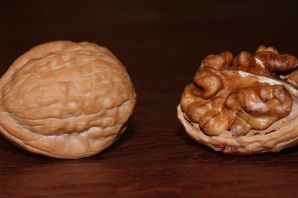 Это произойдет, если съедать всего 1 горсть орехов в день. Не знаю, что и думать!