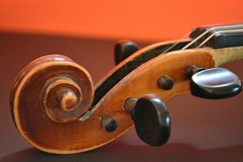 Ученые долгие годы бились над вопросом, за счет чего скрипки Страдивари так звучат, и вот всё прояснилось Вдохновение,Дерево,Душа,Инструменты,Искусство,История,Мастер,Музыка