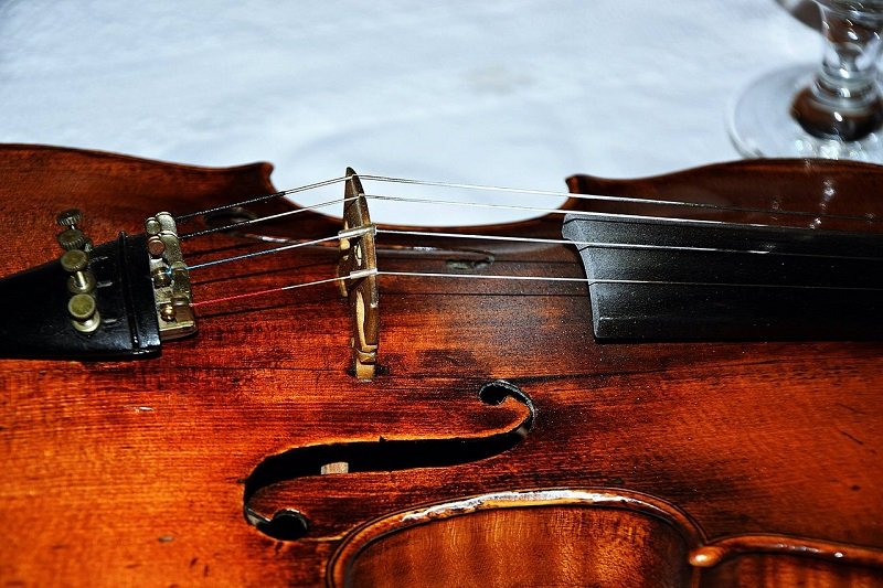 Ученые долгие годы бились над вопросом, за счет чего скрипки Страдивари так звучат, и вот всё прояснилось Вдохновение,Дерево,Душа,Инструменты,Искусство,История,Мастер,Музыка