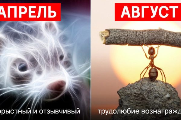 Древнеславянский звериный гороскоп