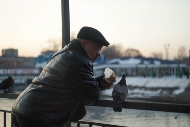 мужчина кормит голубя