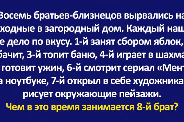 Восемь братьев-близнецов вырвались на выходные в загородный дом, помоги разобраться, чем они там занимаются