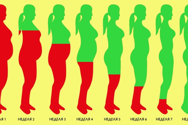 Как растопить лишний жир за 8 недель: стабильный результат без эффекта возврата веса.