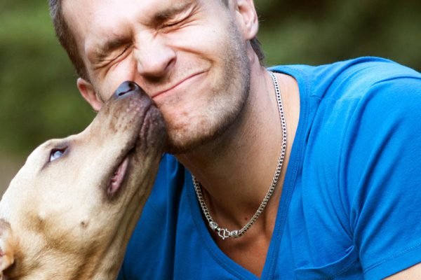 Тетка в очередной раз пришла учить меня жизни, но мой пес оказался умнее меня и не захотел терпеть ее назойливое бурчание