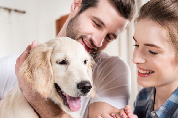 Умеют ли собаки распознавать эмоции человека