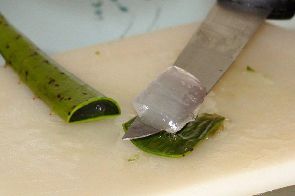 Что нужно знать о соке алоэ вера