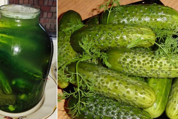 Соленые огурцы без кипятка и когда они будут готовы
