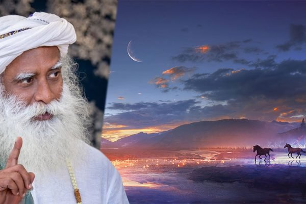 Солнечная активность сегодня несет большие перемены для человечества на ближайшие четыре года