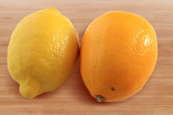 Дотошный продавец на рынке научил, как отличать «лимон мейера» от рядового лимона, трачу деньги лишь на лучшие цитрусовые