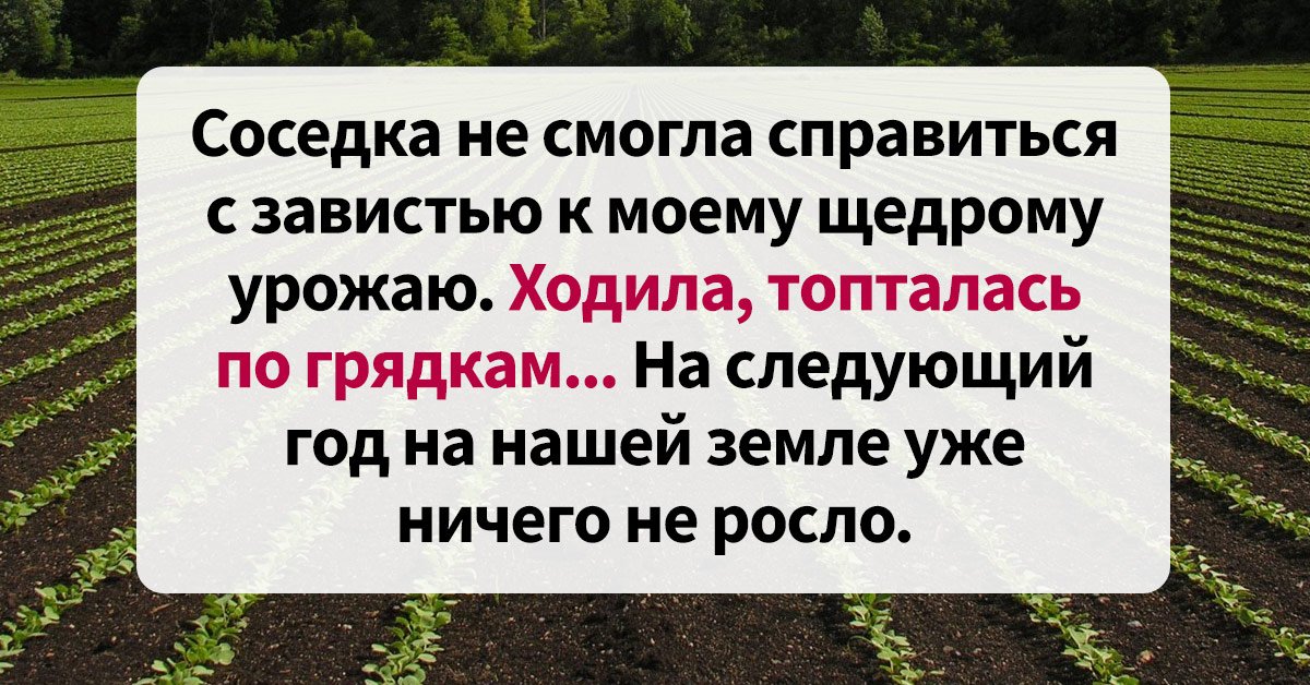 Чтобы ничего не росло на земле