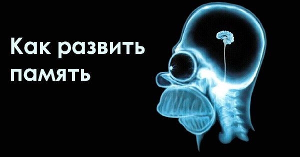 Как развить умственные способности память и внимание заставь свой мозг работать на 100