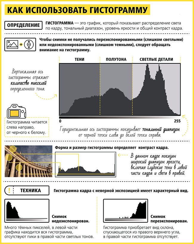 Направления в фотографии с примерами