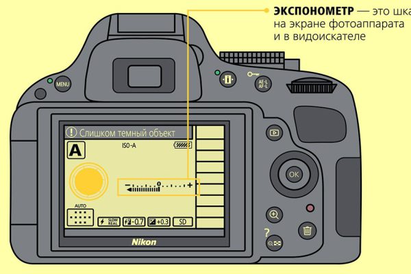Абсолютно всё, что нужно знать новичкам и любителям о фотографии.