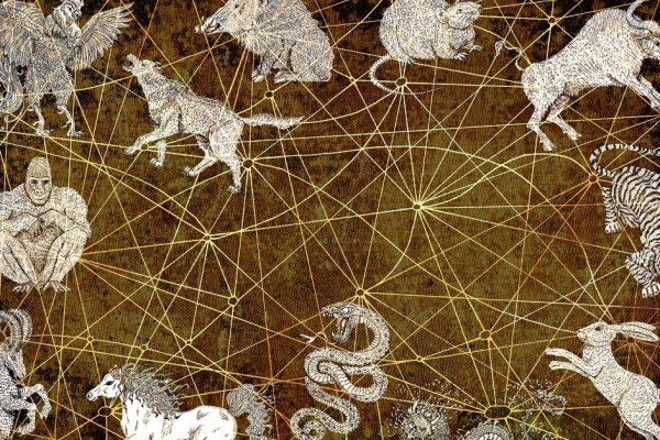 Совместимость знаков по году рождения