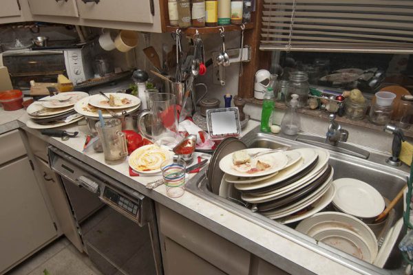 Отчаяние свекрови, что обнаружила сына и невестку в грязной квартире