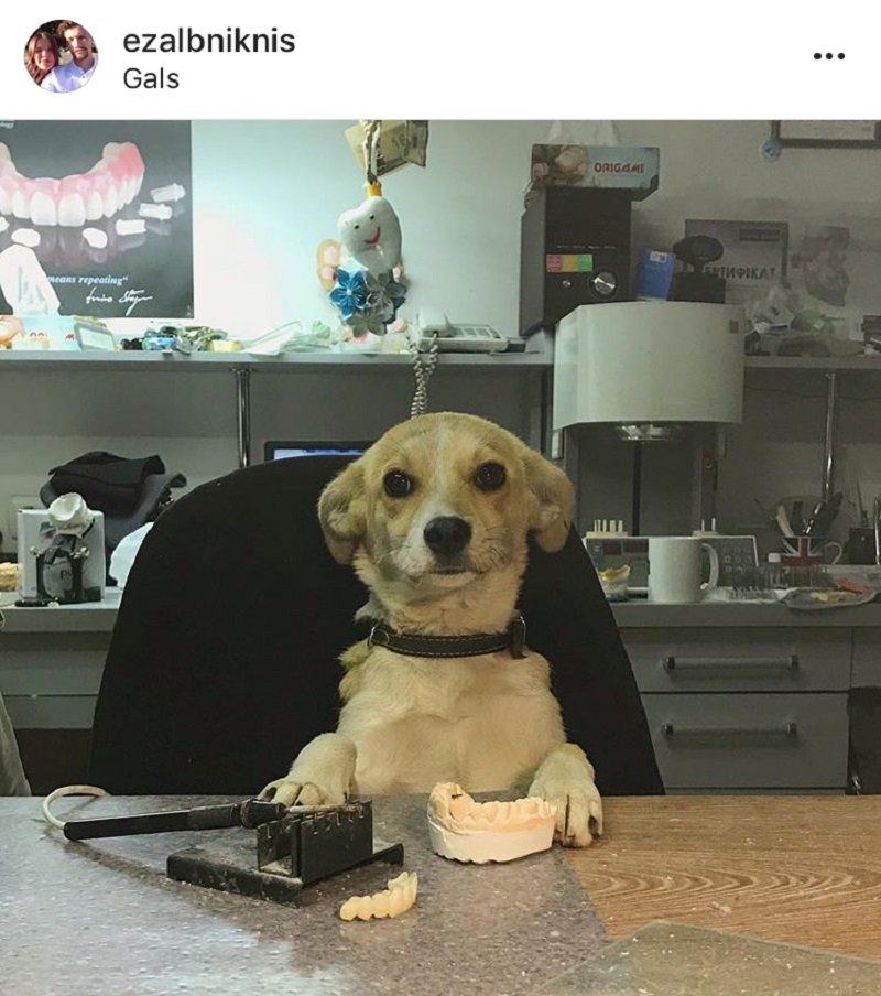 интересные медицинские случаи