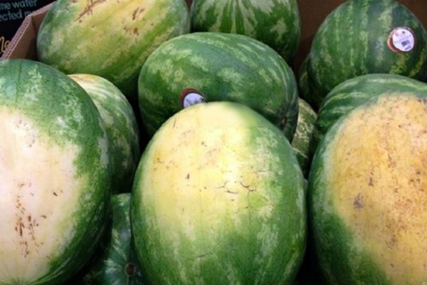 Как выбрать самые спелые арбузы, не пробуя на вкус их сочную мякоть