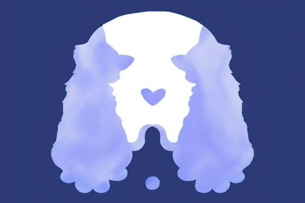 Где прячется родственная душа того, кто видит двух котов на картинке