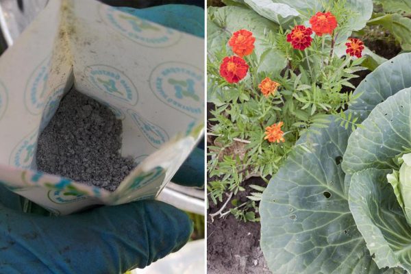 Бесполезности, от которых нет никакого проку в саду и в огороде, зря потраченные деньги