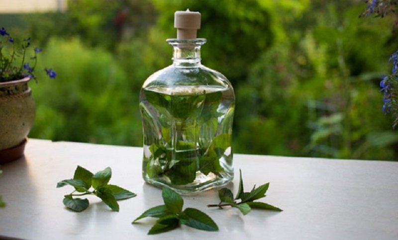 средства от варикоза